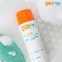 24.webp