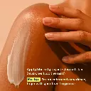 14.webp