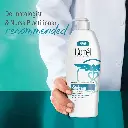 15.webp